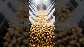 Potato Chips Factory Process — Washing, Slicing, Frying &amp; Packaging Machine #shorts #viral