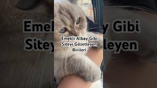 Emekli Albay Gibi Siteyi Gözetleyen Birisi Şankediler