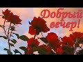 Чудесного летнего вечера! Тёплого и ласкового вечера!