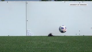 UT researchers work to create the perfect grass turf for the 2026 FIFA World Cup