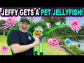 JEFFY GETS A PET JELLYFISH!