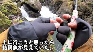 大増水の渓流でテンカラ釣り/テンカラ大魔王降臨
