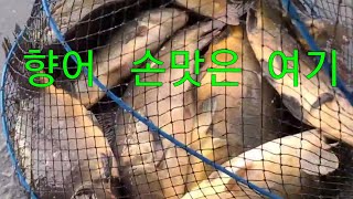향어낚시  손맛은  여기내    2시간  만에 촬영끝 #낚시터 #낚시 #fishing #carpfishing #채비방법 #향어낚시