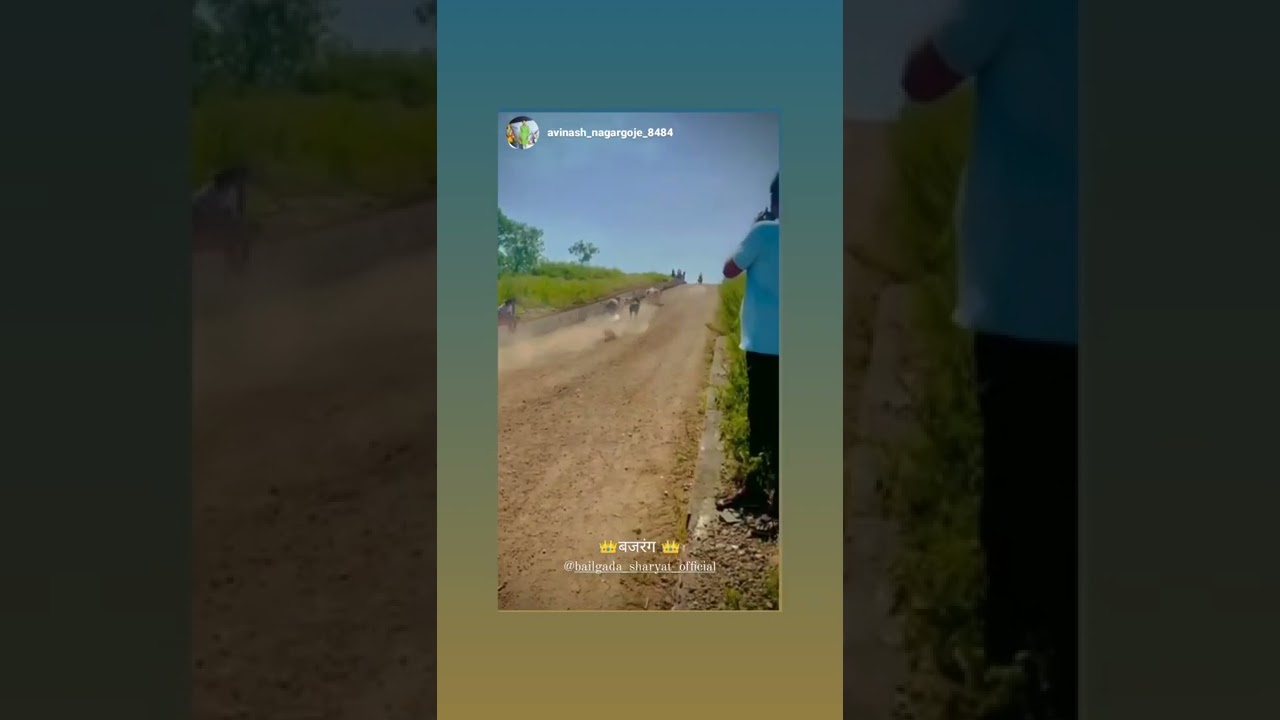 wagholi king bajrang ️👑🦬 YouTube