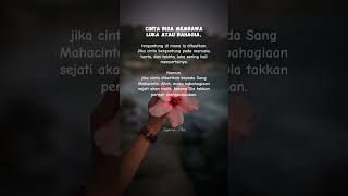 Dimana Cinta Diletakkan Antara Luka Dan Kebahagiaan Sejati