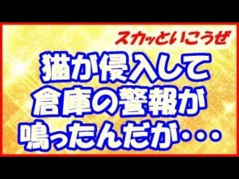 【修羅場】スカッとする話 猫が侵入して倉庫の警報が鳴ったんだが、警察が来て「エキスパートを呼んだから大丈夫」私「？？」（スカッといこうぜ）