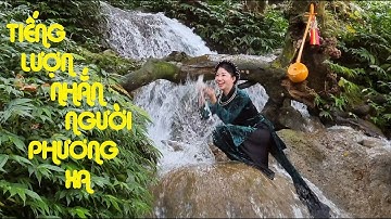 Lượn Nàng Ới dân ca Tày Nùng TIẾNG LƯỢN NHẮN NGƯỜI PHƯƠNG XA-Quốc Huy Và Ngọc Chiến|HÁT THEN TÂY BẮC