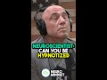 Neuroscientist: Are You Hypnotizable? | Andrew Huberman #joerogan #shorts