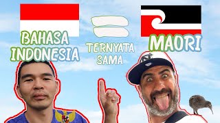BAHASA INDONESIA MIRIP SAMA BAHASA MAORI | SUKU ASLI ORANG SELANDIA BARU