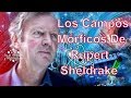 Los Campos Mórficos De Rupert Sheldrake