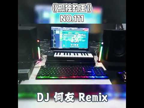 海来阿木-孤独的王（DJ何友版）演示工程
