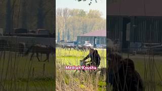 Scenic view // country side renagh #2026@MurmuRaj4047