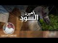 العيون السود دان شبواني أداء امين زنبور 