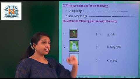 AP & TS CLASS I EVS ASSIGNMENT KEY DAY 13