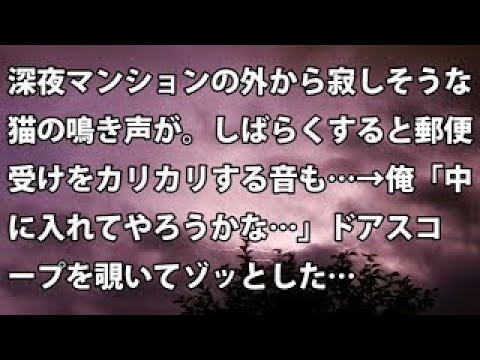【修羅場　衝撃】深夜マンションの外から寂しそうな猫の鳴き声。しばらくすると郵便受けをカリカリする音も→ 俺「中に入れてやろうかな…」ドアスコープを覗いてゾッとした…【修羅場・衝撃体