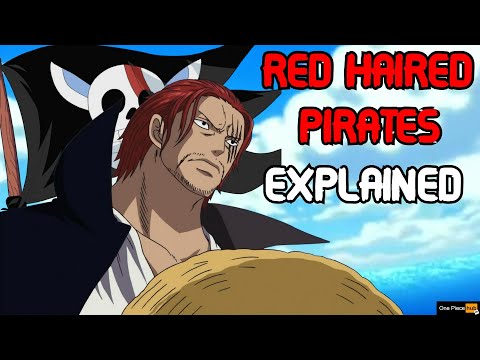 YONKO CREWS EXPLAINED: