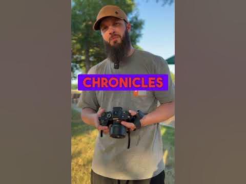 How many horse stalls did King Solomon have? - YouTube