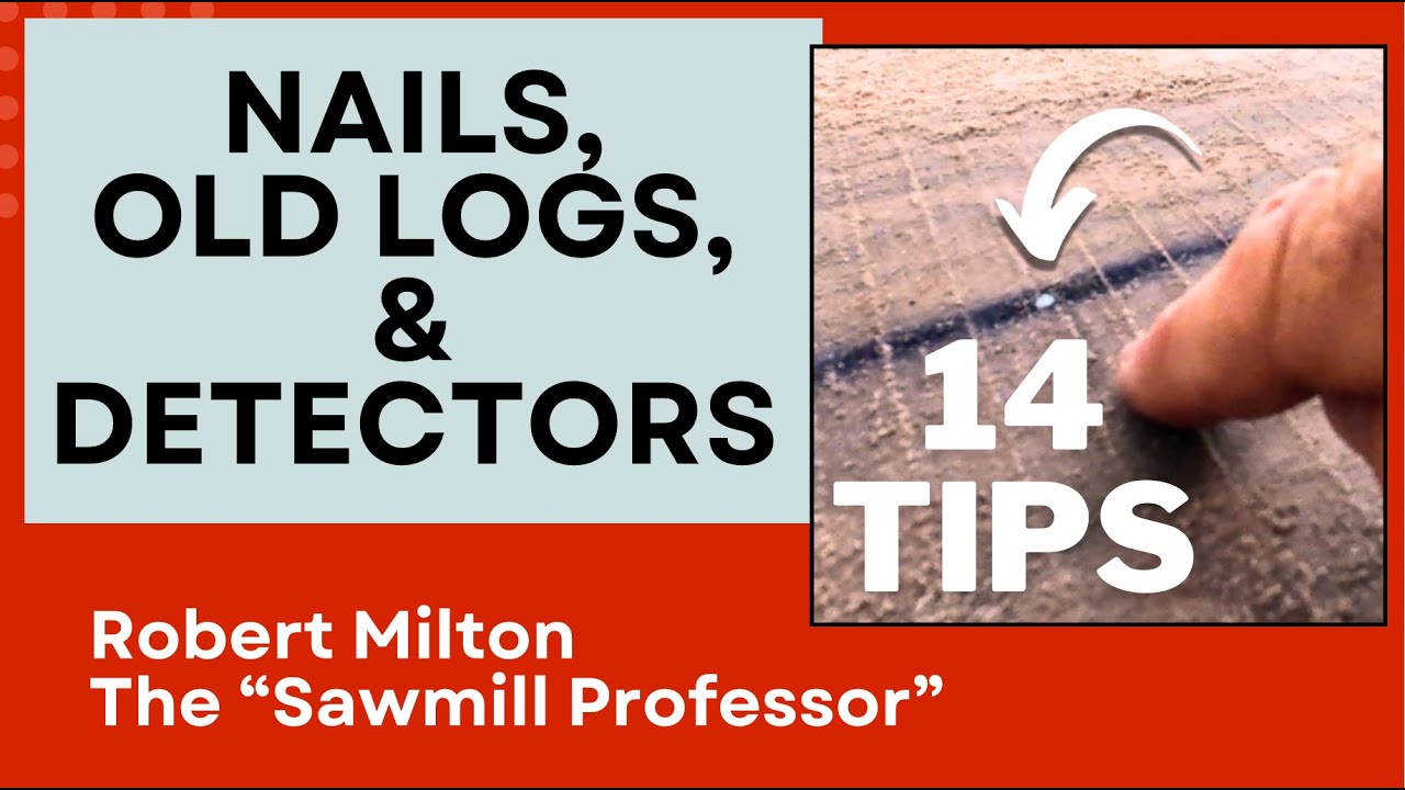 Мои мысли о старых брёвнах, обращении с гвоздями и о том, почему я не пользуюсь металлоискателями
