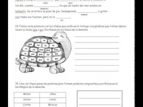 EXAMEN DIAGNOSTTICO TERCER GRADO DE PRIMARIA  EXAMENES 