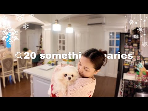 20 something diaries | a christmas vlog, making mac n cheese, gift haul, holiday at home ⟡₊ ⊹