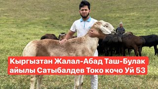 Кыргызтан Жалал-Абад Таш-Булак айылы Сатыбалдев Токо кочо Уй 53