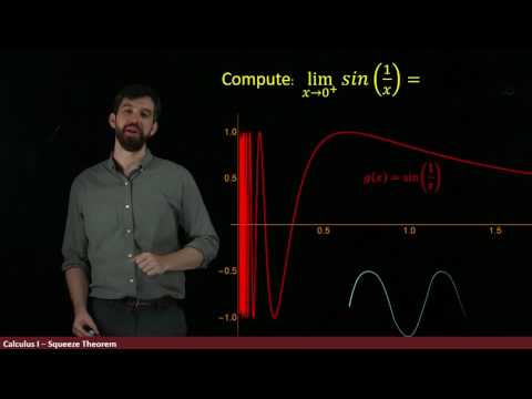 Limits of Oscillating Functions and the Squeeze Theorem