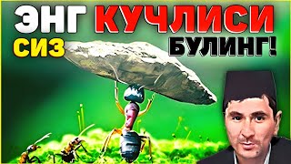 Абдуллох Домла ~ Кучли Булиш! | #Abdullohdomla #Rek #Абдуллохдомла #Islamicshorts #Islam