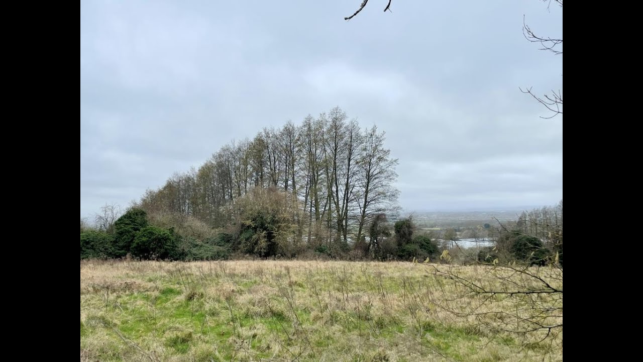 Bert’s Field, Chart Road, Chart Sutton, Maidstone, Kent - May 2022 Auction