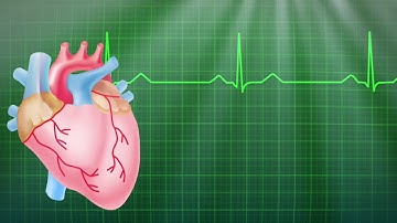 (ويقول الإنسان أإذا ما مت لسوف أخرج حياً) تلاوة مؤثرة ومبكية بصوت جميل