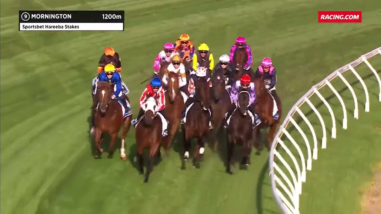 Hareeba Stakes 2024 - MAHARBA (Hcp LR) Listed Mornington 20 April