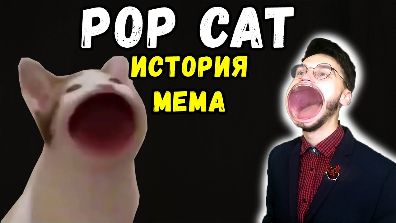 Кот с открытым ртом мем рисунок