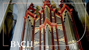 Bach - Little Fugue in G minor BWV 578 - Schouten | Netherlands Bach Society