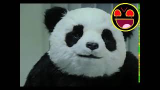 Reupload The Best Never Say No To Panda Sparta Remix On Youtube - Special 10 Ytpmv