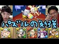 【パズドラ】マックスむらい先生、パズル教えてください！
