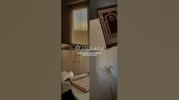 سورة الاخلاص بصوت جميل 🫀🌚