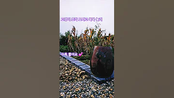 고양이 별빛 같은 나의 사랑아 임영웅 미스터트롯2 옹기조각 힐링 영상 