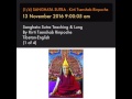 14 sanghata sutra  kirti tsenshab rinpoche tibeng