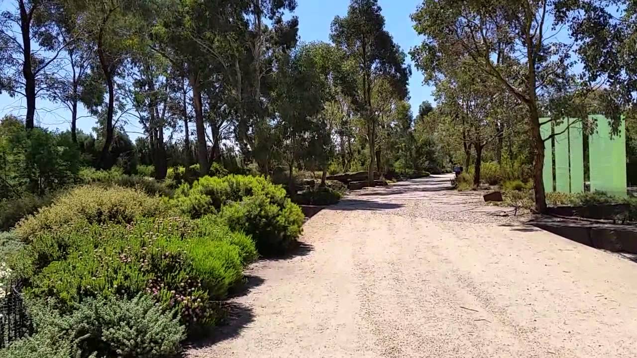 Botanic Garden (bumpy) - YouTube