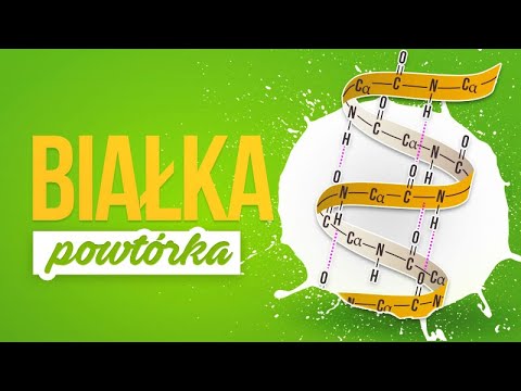 Wideo: Jakie Są Funkcje Białka