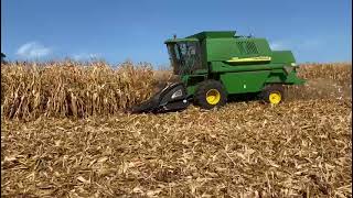 JD 1450 com plataforma GTS 10 linhas na colheita do milho, na pressão💪💪