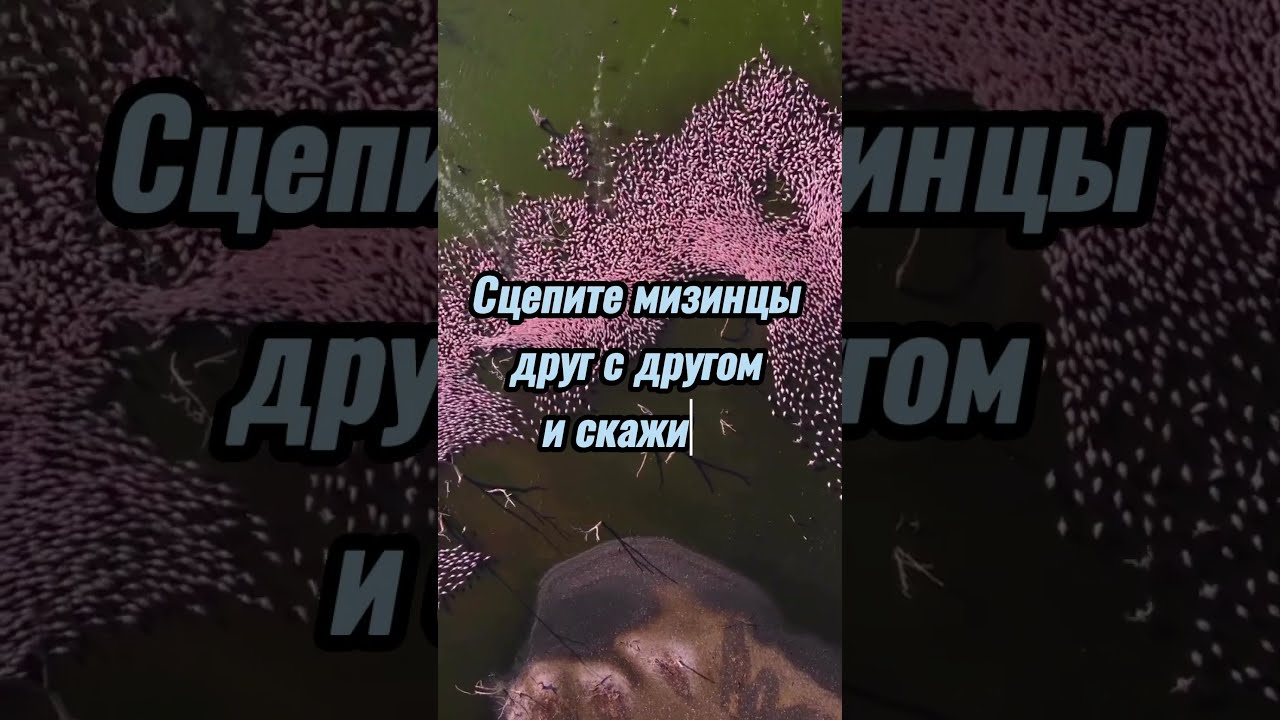 Чтобы найти потерю. 