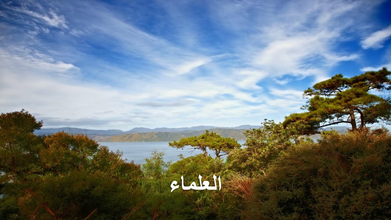 السيرة علم يستمتع به الجميع الدكتور محمد بن طوق المري