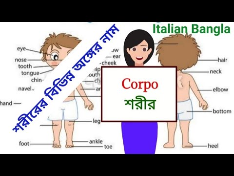 italian language. ep - 31 (শরীরের বিভিন্ন অঙ্গের নাম - Corpo umano)