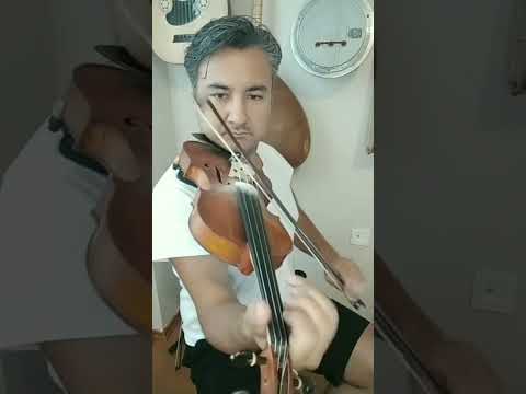 Berivanım Dağ Çiçeğim (keman)🎻