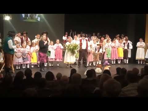 ŠAFRÁN - 30. let výročí od  založení folklorního souboru.  Městské divadlo -  JABLONEC nad Nisou. 5.