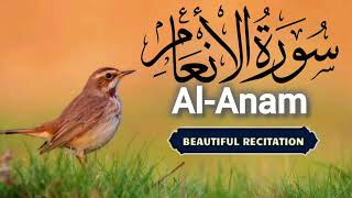 Surah Anam | Al Anam | Surah Al Anam
