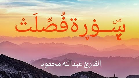 تلاوة مرئية لما تيسر من سورة فصلت بصوت القارئ عبدالله محمود