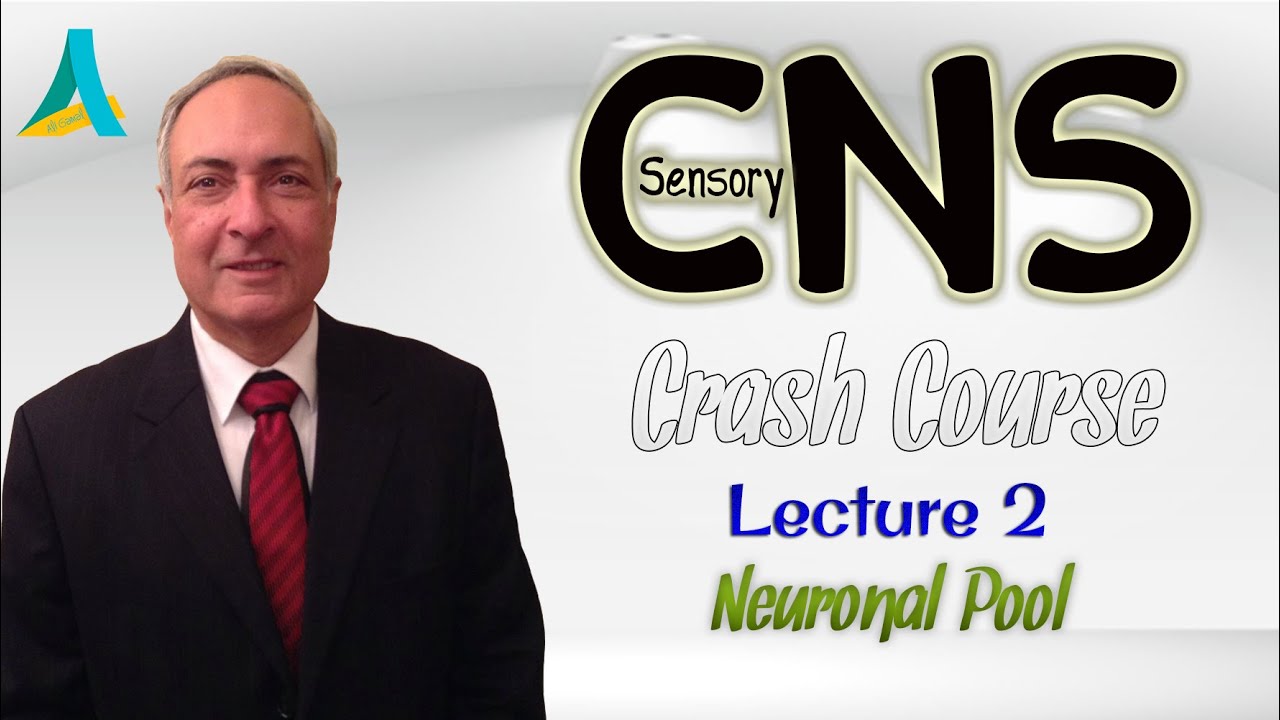 Dr.Nagi - CNS Sensory CRASH COURSE - Lecture (2) - Neuronal Pool