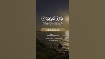 " وما لنا ألا نتوكل على الله " || سورة ابراهيم الآيات [ 12 - 15 ] ~ القارئ ياسر ممدوح