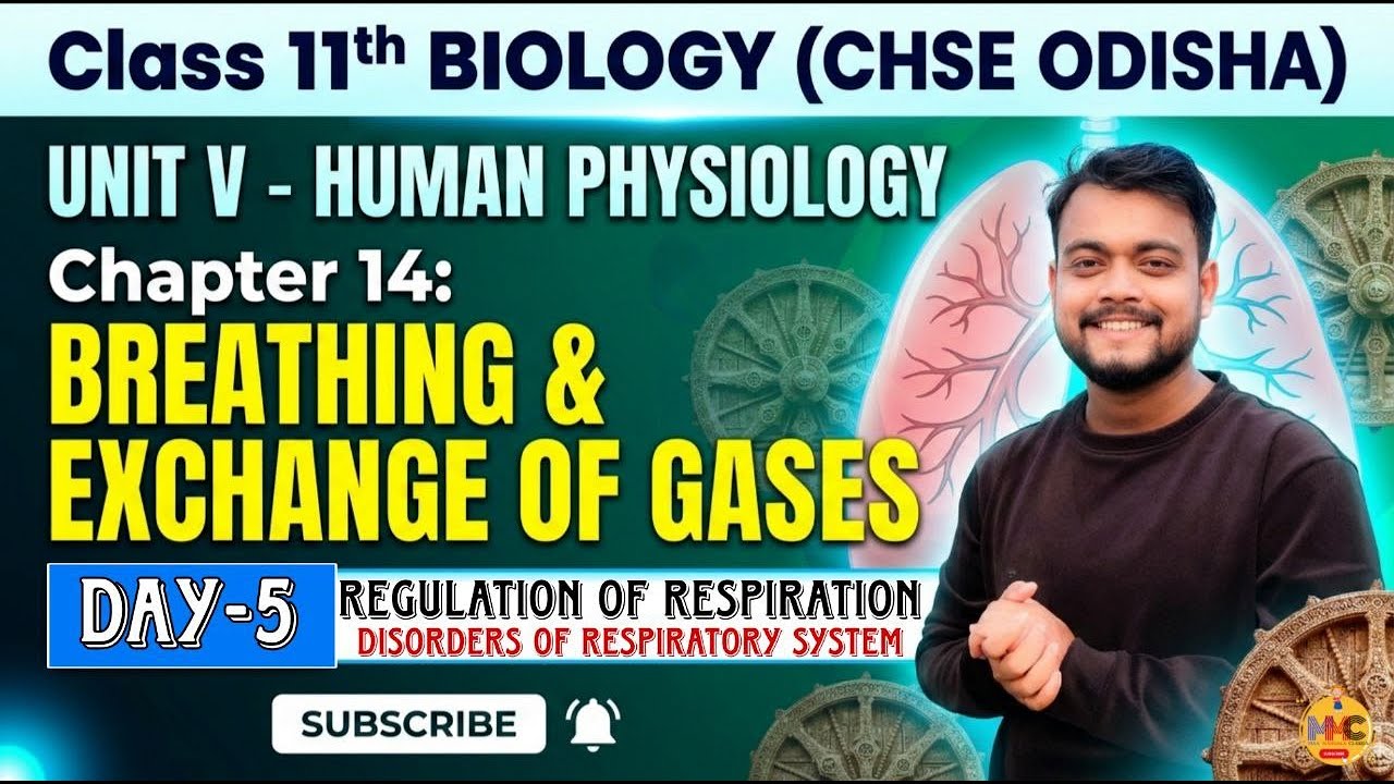 (L-5)Breathing and Exchange of Gases// Class-11th//CHSE Odisha Biology//MMC//AMMU VAI//First Year Sc